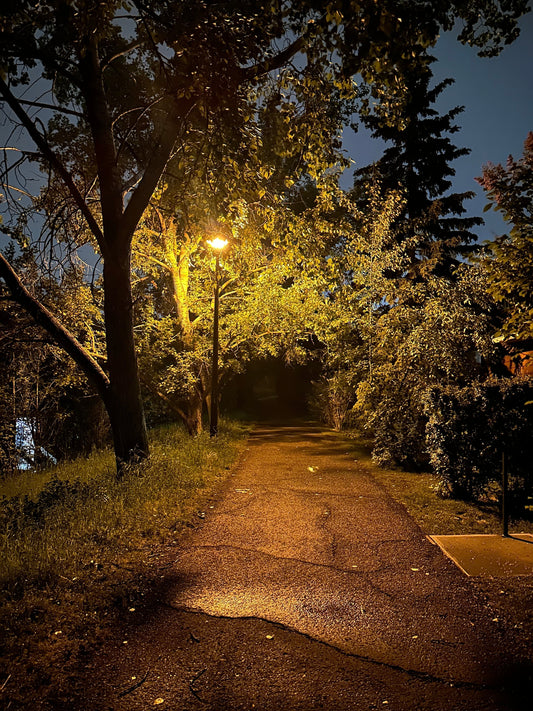 A mysterious little path glowing under a streetlamp at midnight - where PrintBabe goes idea-fishing.