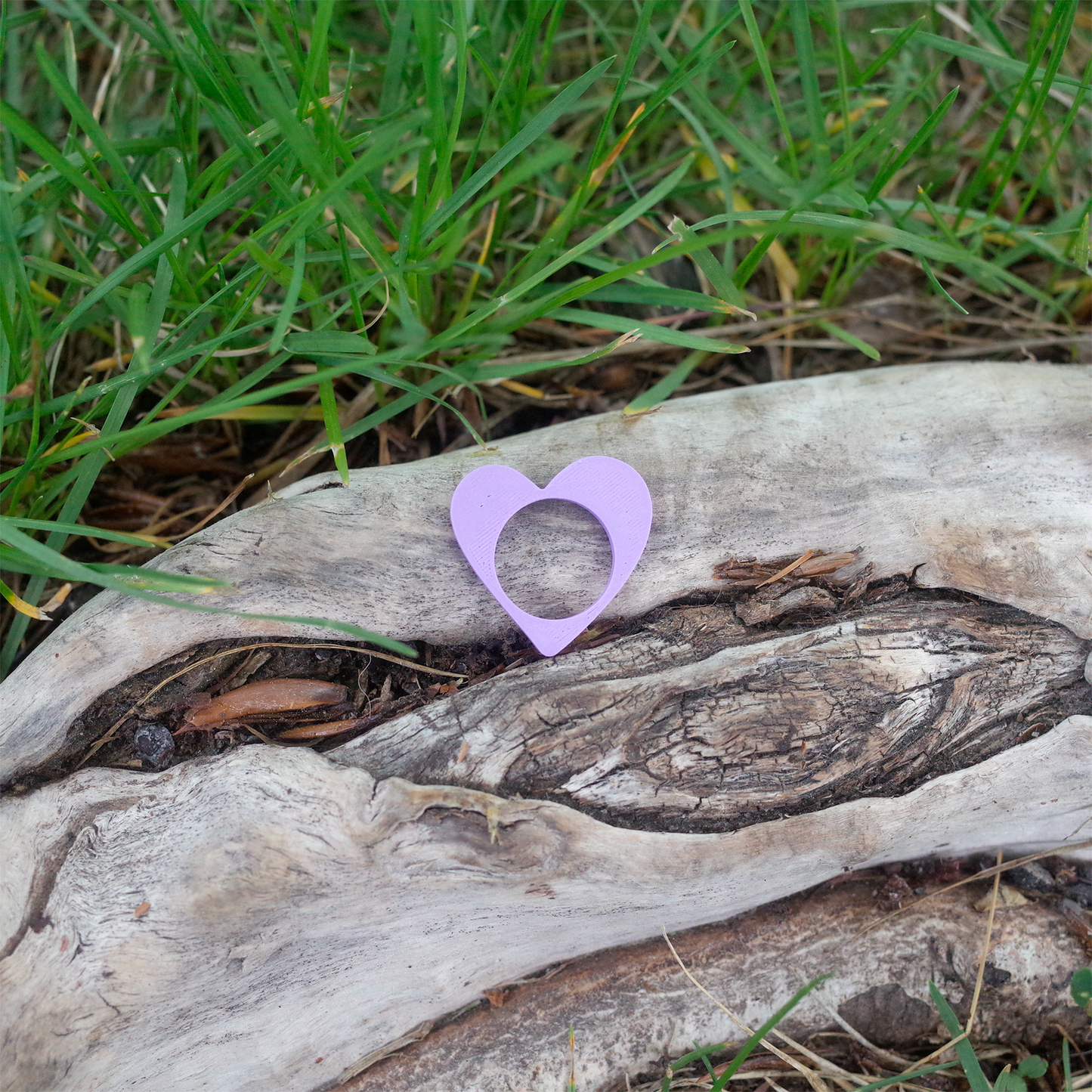 A pastel purple heart-shaped ring displayed outdoors on a tree trunk among grass.