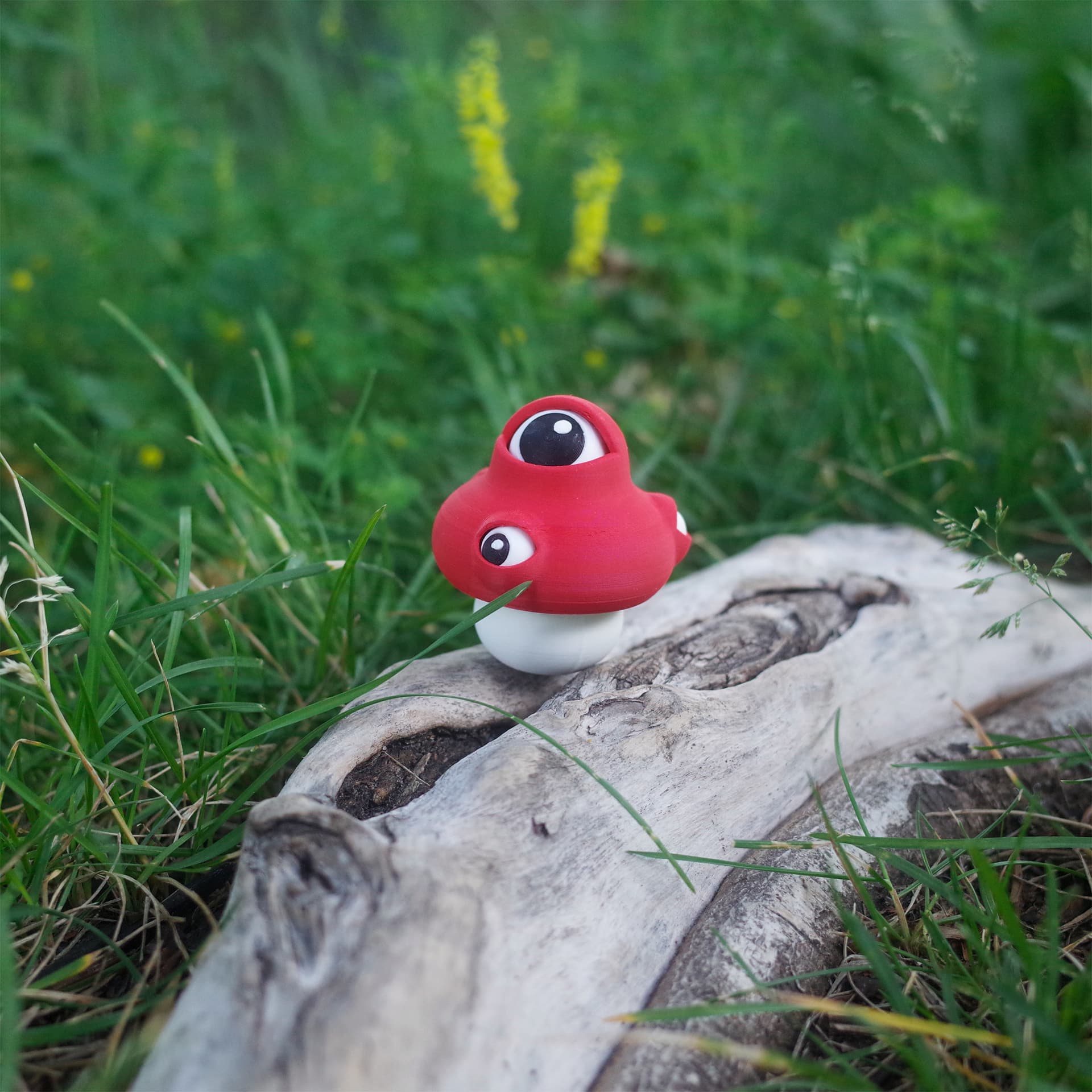 Front view of The Eyeball Mushroom standing on a log, with its big central eye looking up.