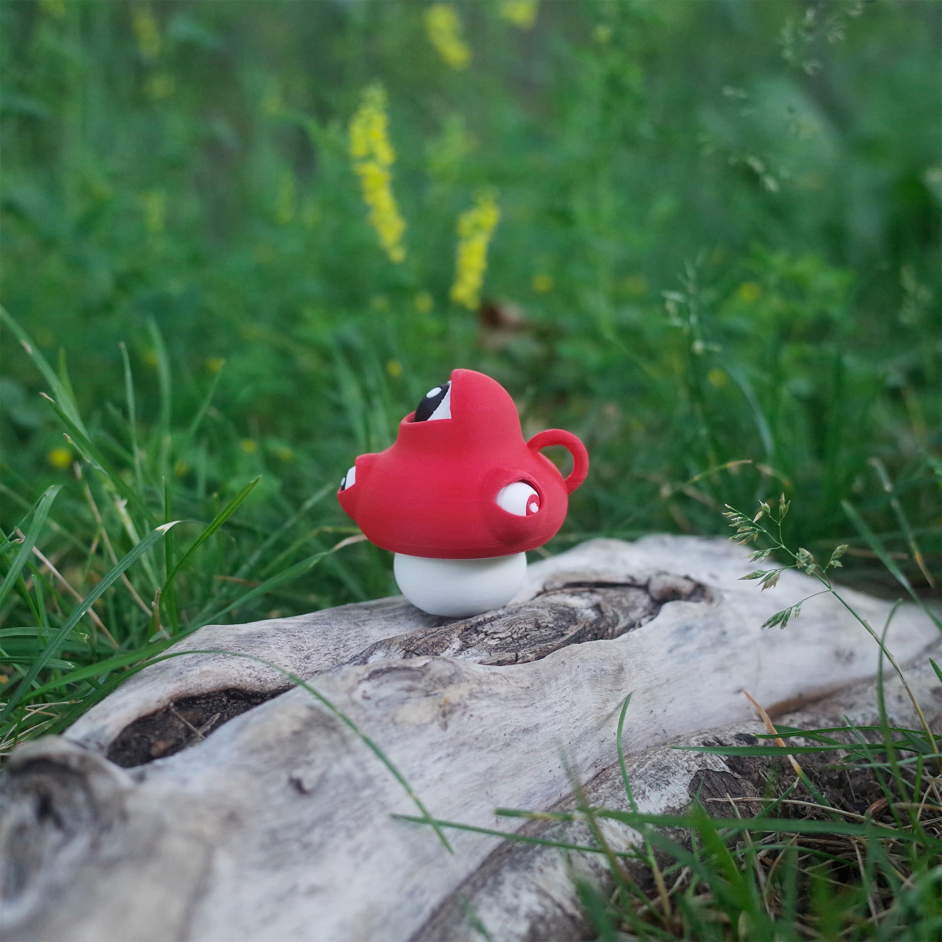 The Eyeball Mushroom sitting on a piece of driftwood in a grassy field with yellow wildflowers in the background.