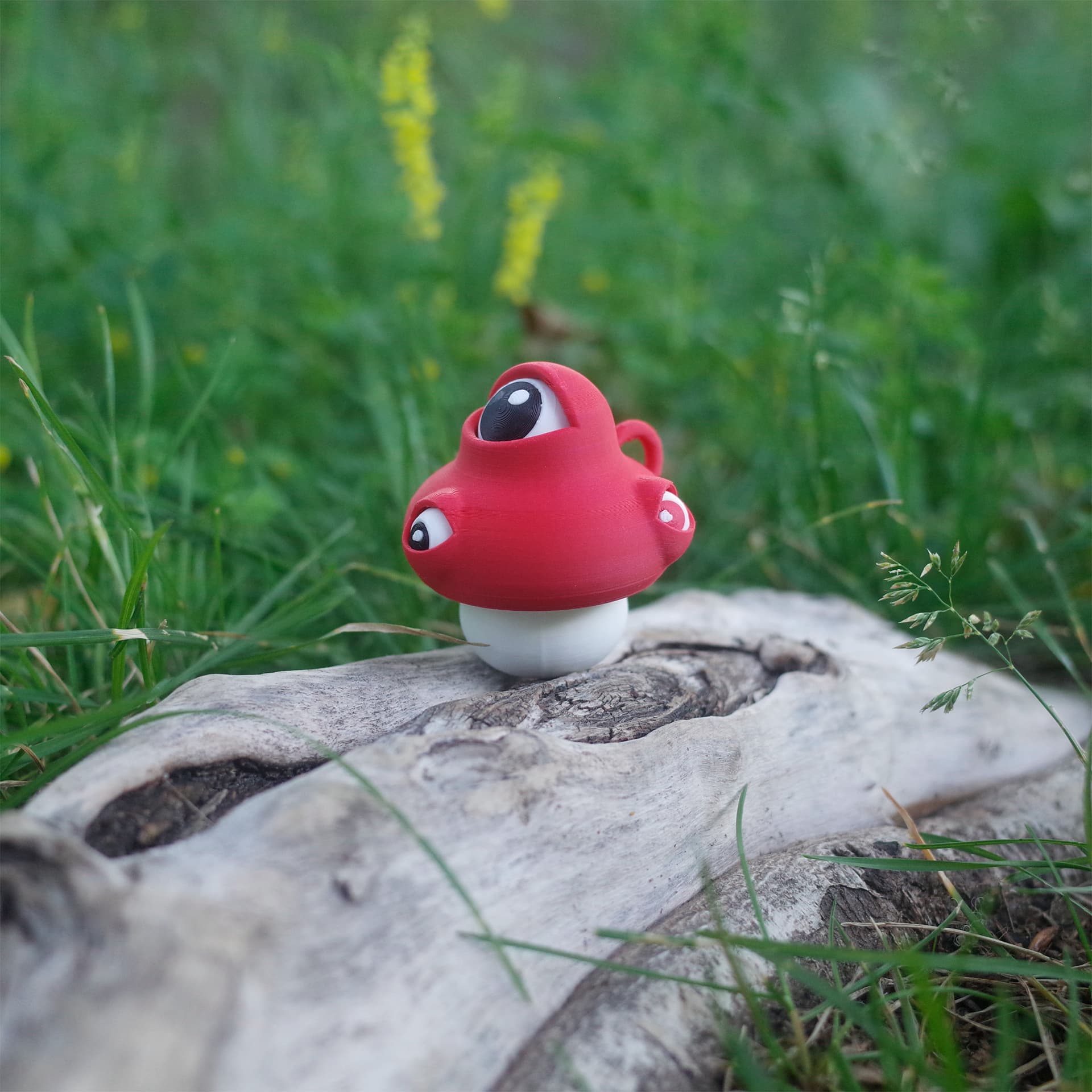 Side angle of The Eyeball Mushroom on wood, showing its rotatable side eyes.