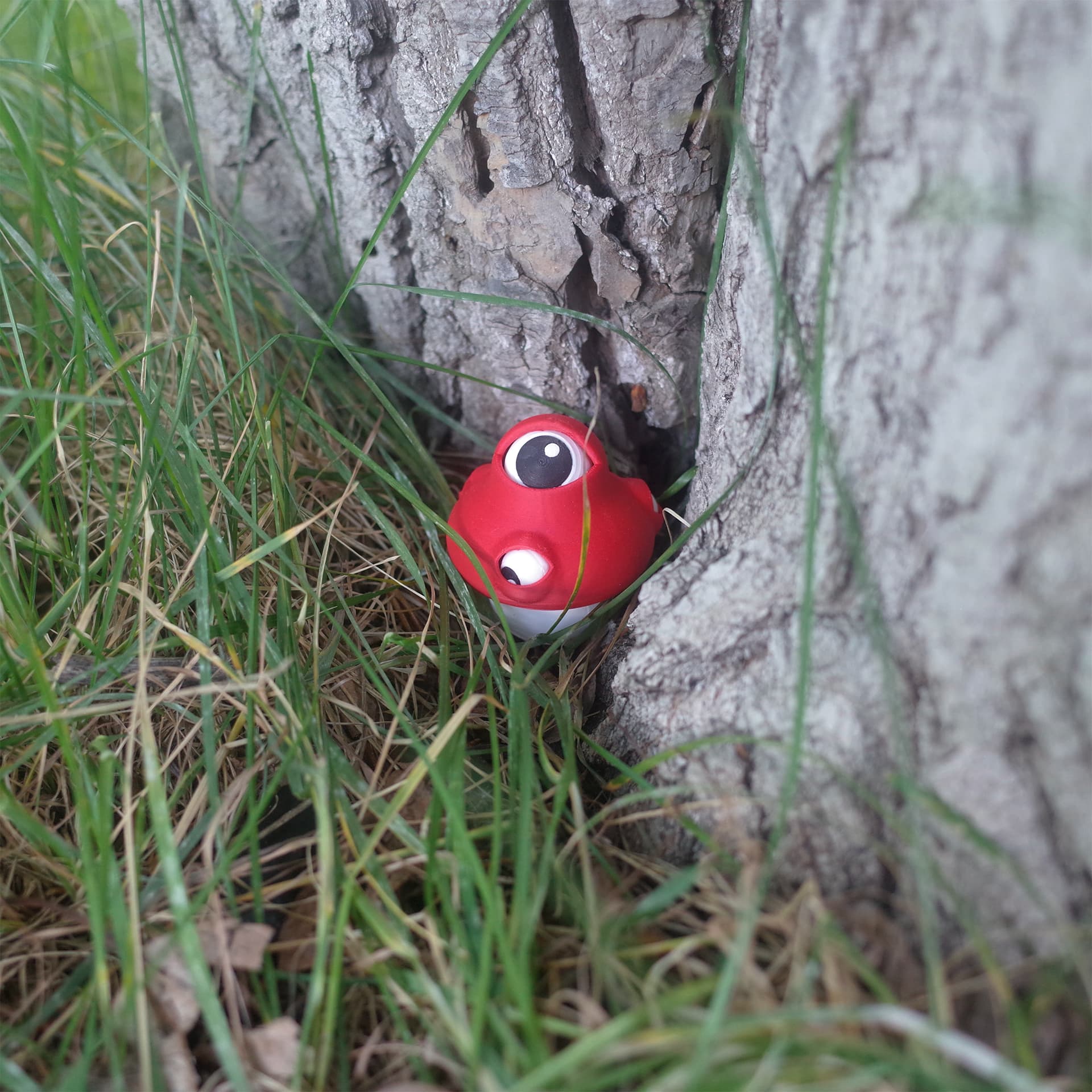 The Eyeball Mushroom tucked into the crack of a tree trunk, surrounded by tall grass.