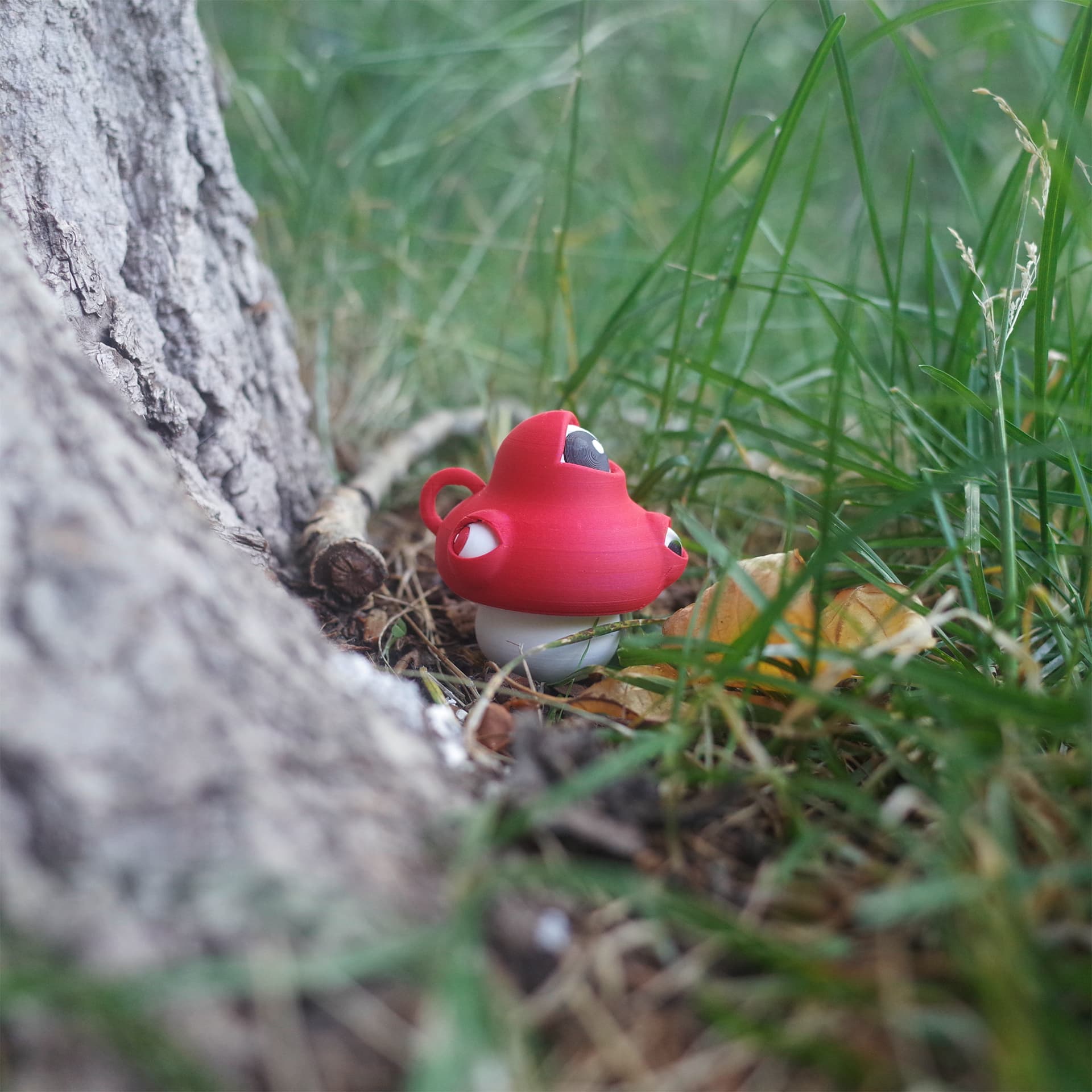Side view of The Eyeball Mushroom next to a tree base, nestled in natural grass.