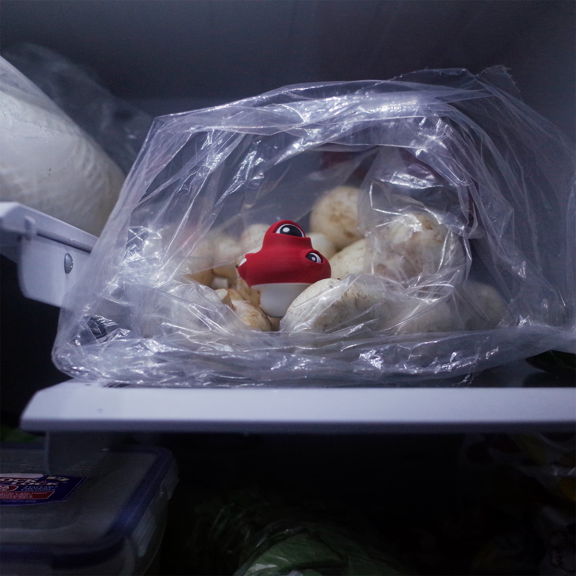 The Eyeball Mushroom sitting inside a plastic produce bag full of mushrooms, peeking out.
