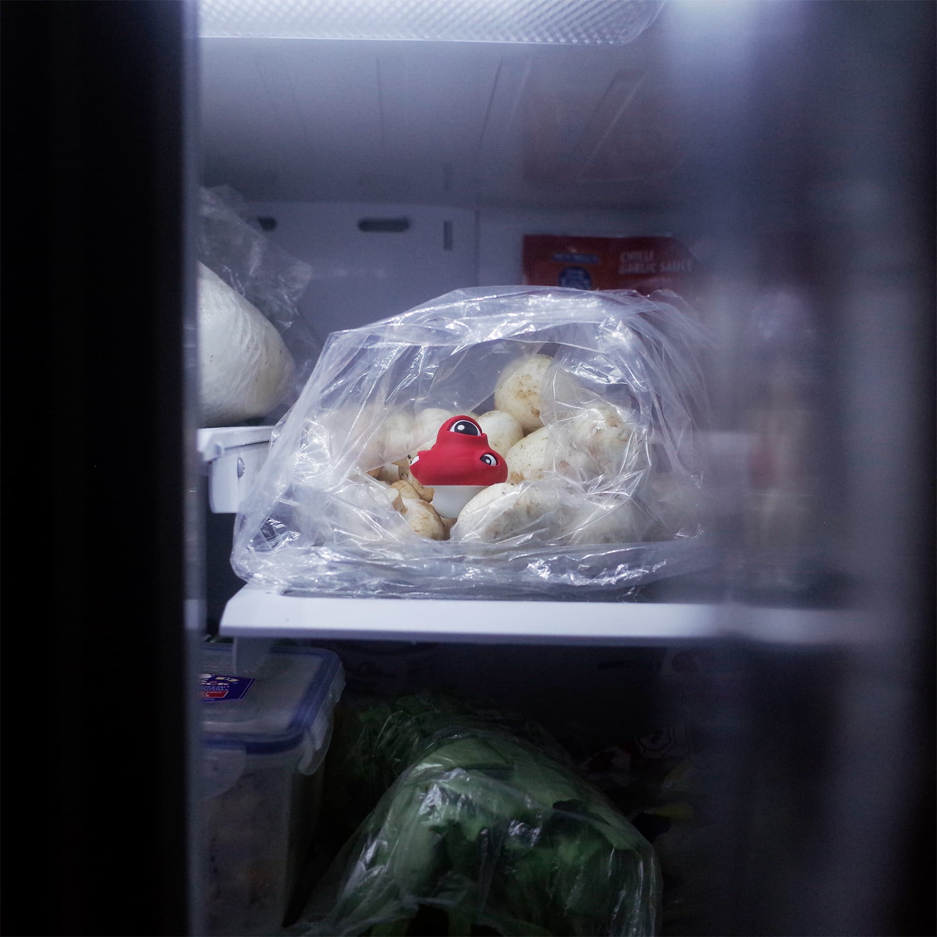 The Eyeball Mushroom hiding in a fridge among a bag of fresh mushrooms.