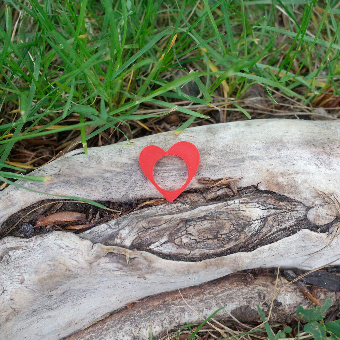 A red heart-shaped ring with a pointed bottom and open center, placed on a tree trunk.