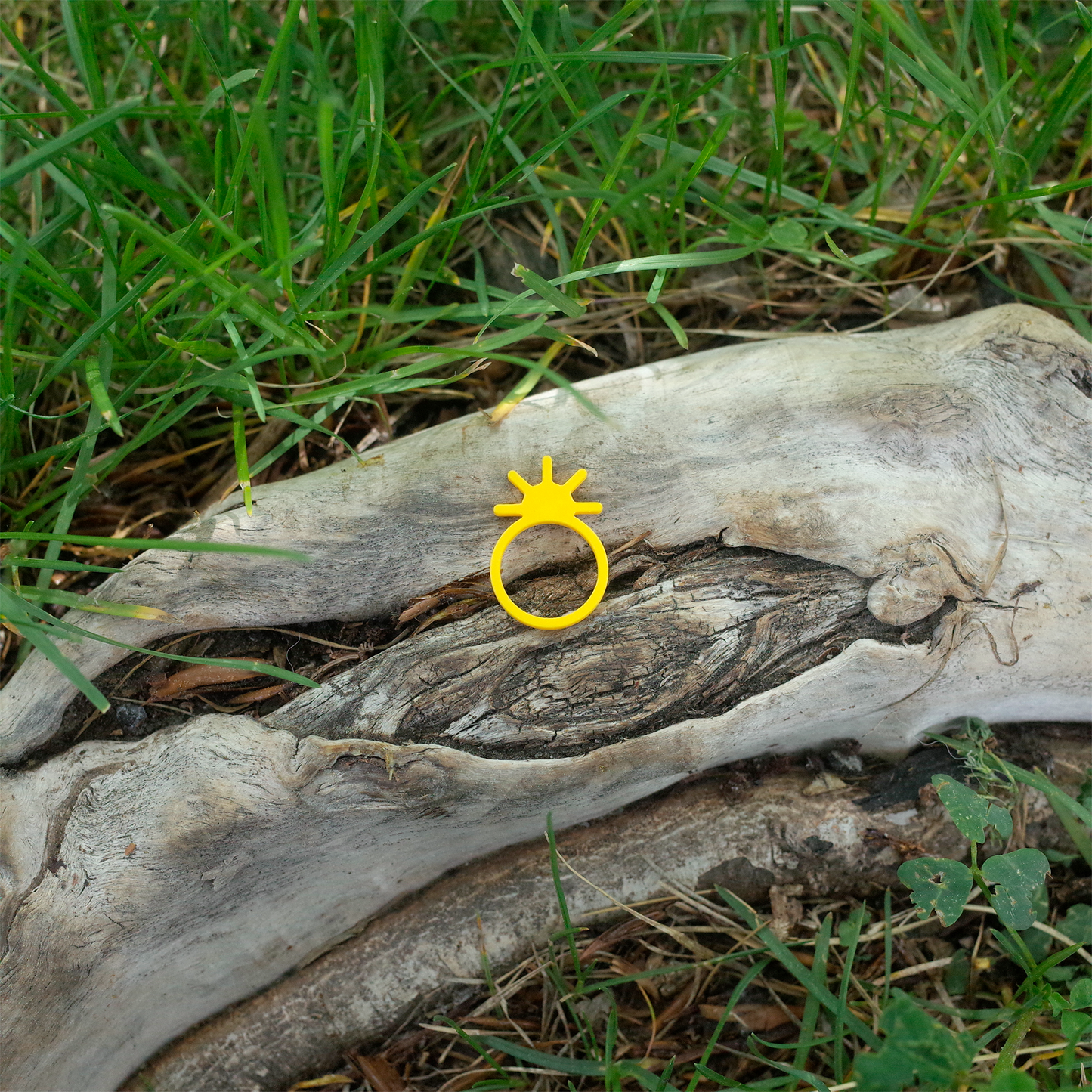 A yellow ring shaped like the sun with radiating beams, placed on a tree trunk in the grass.