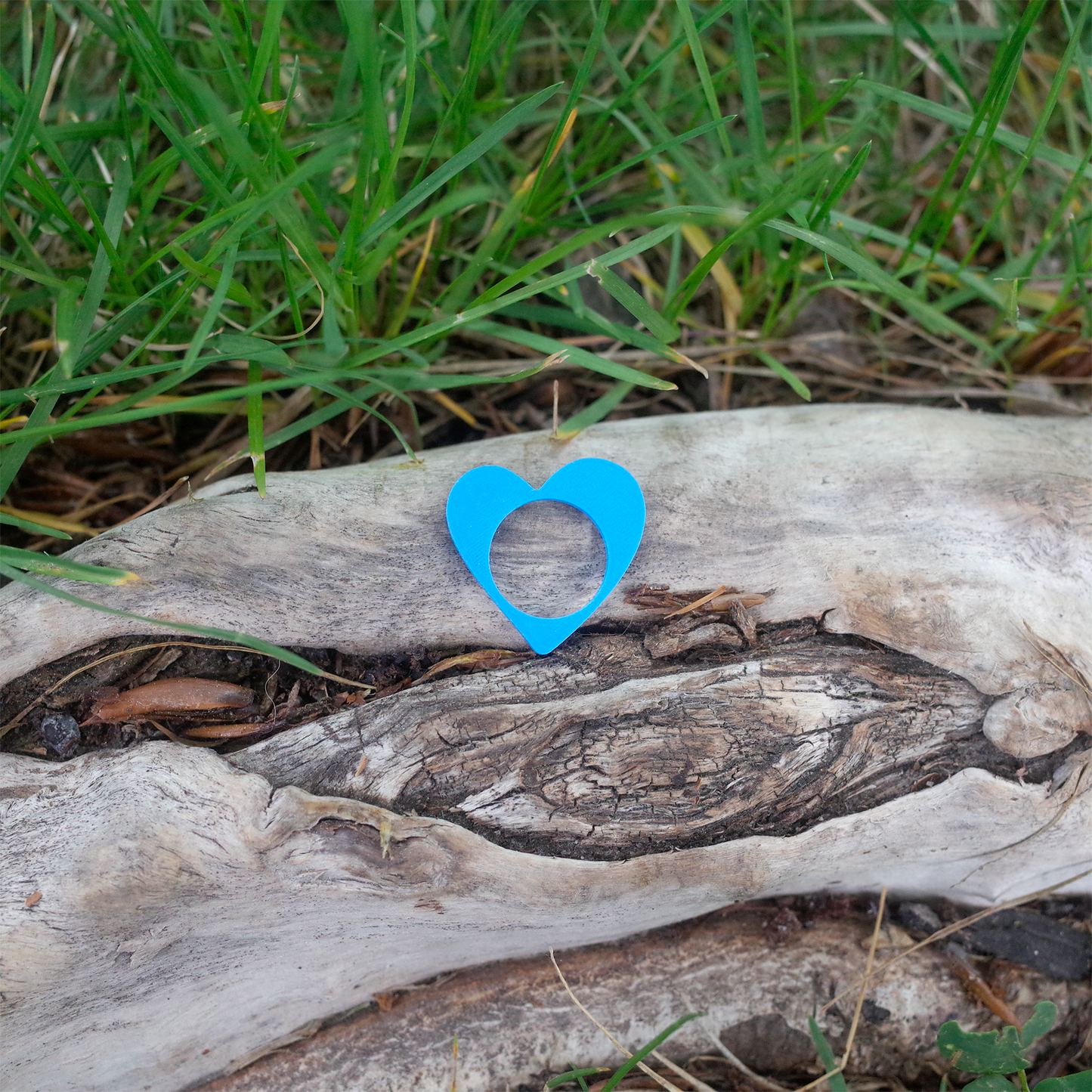 A bold blue heart-shaped ring centered on wood, with greenery in the background.